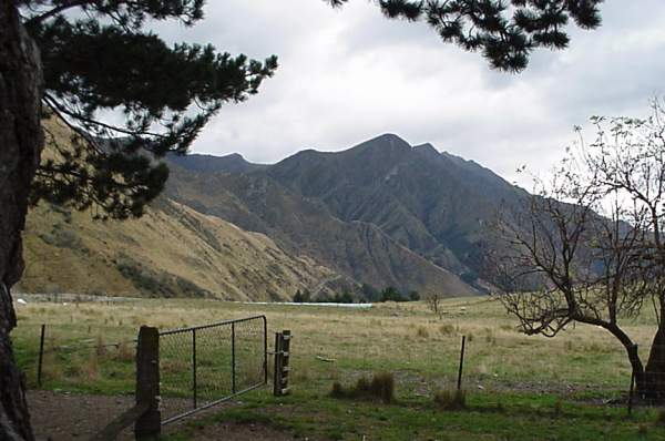Where's the sheep,  and Ducks..?  :-)