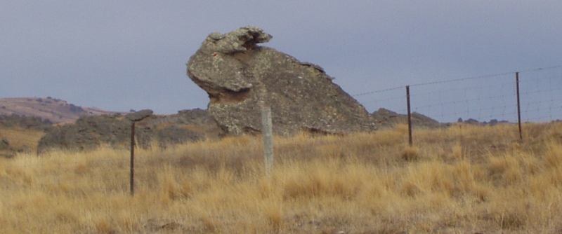 rabbitrock.jpg